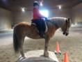 /album/lessons/a16487054-10154914112842225-2644969368069673276-o-jpg/